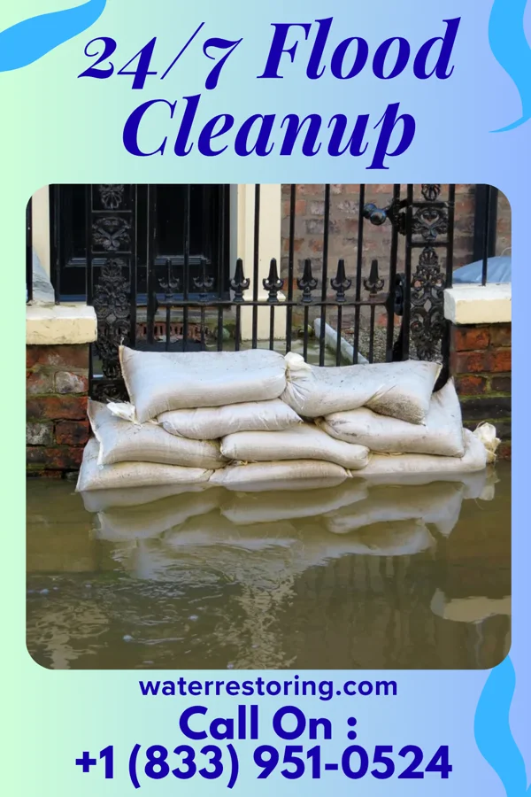 24/7 Flood Cleanup in Willow Springs, IL