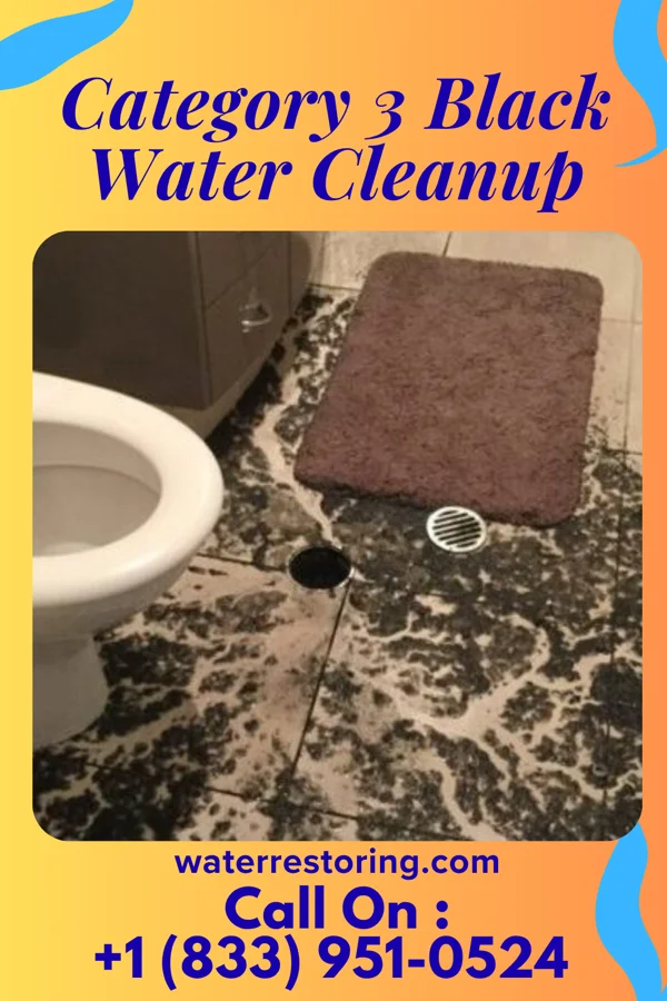 Category 3 Black Water Cleanup in Willow Springs, IL