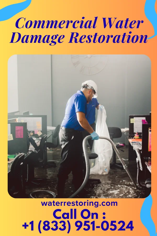 Commercial Water Damage Restoration in Willow Springs, IL