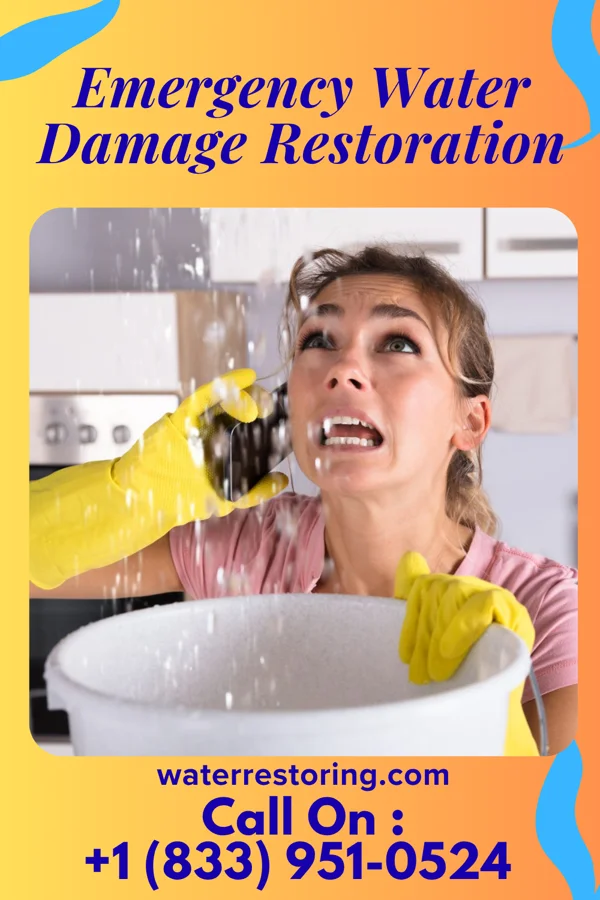 Emergency Water Damage Restoration in Willow Springs, IL