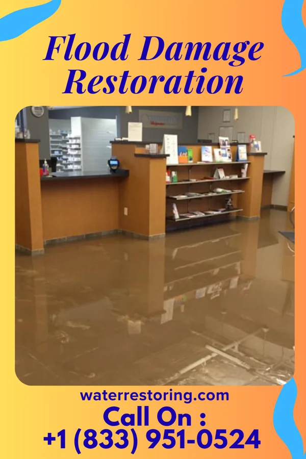 Flood Damage Restoration in Willow Springs, IL