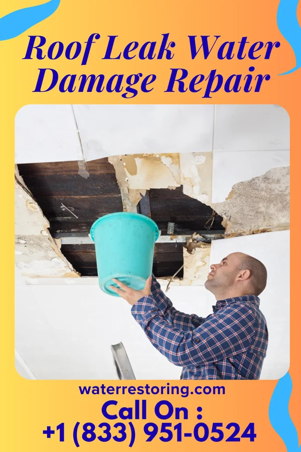 Roof Leak Water Damage Repair in Willow Springs, IL