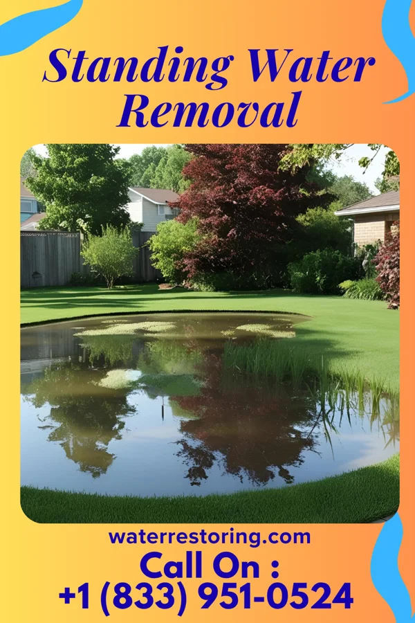 Standing Water Removal in Willow Springs, IL
